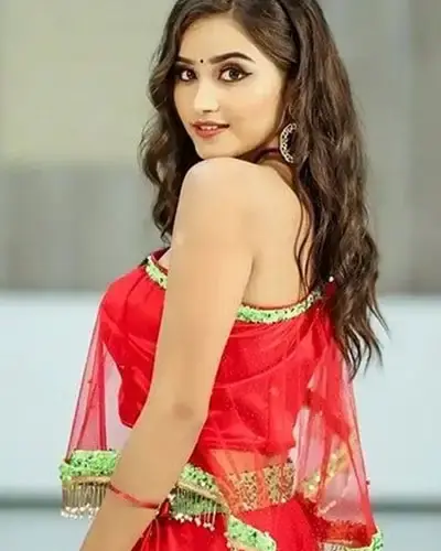 Escort In Krishnagiri